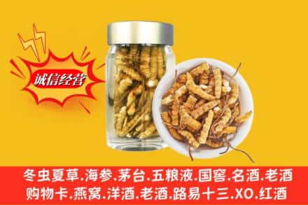 济宁市鱼台回收散虫草