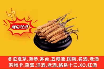 济宁市鱼台求购回收虫草多少钱每克